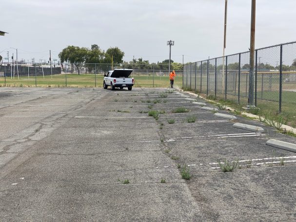 Weed Clearing in Parking Lot